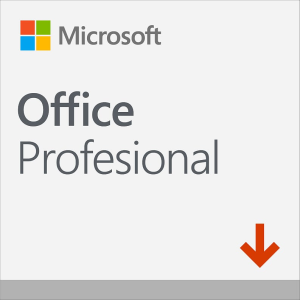 MICROSOFT Office 2019 Professional All Languages ESD