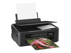 Impressora EPSON Expression Home XP-245 Wi-Fi (Multifunções) 