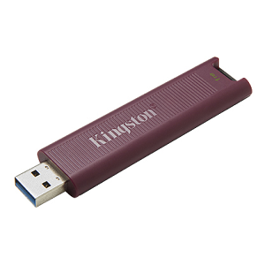 USB Flash Disk KINGSTON DataTraveler Max 1Tb USB Type-A