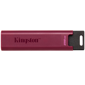  USB Flash Disk KINGSTON DataTraveler Max 256Gb USB Type-A