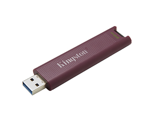 USB Flash Disk KINGSTON DataTraveler Max 512Gb USB Type-A