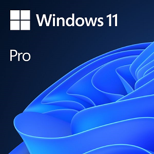 MICROSOFT Windows 11 Pro 64-bit PT DVD "OEM"